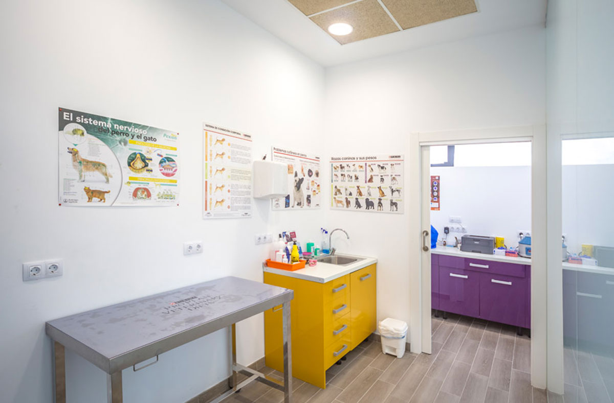 Adecuación de local comercial para Clínica Veterinaria. Sala de atención veterinaria para perros